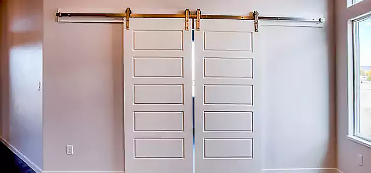 Glass Barn Door with Installation Hardware Kit Akron